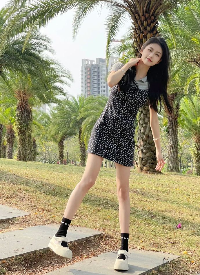 龙猫 封面